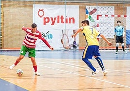 El Sima Granada se despide de sus objetivos a falta de tres jornadas