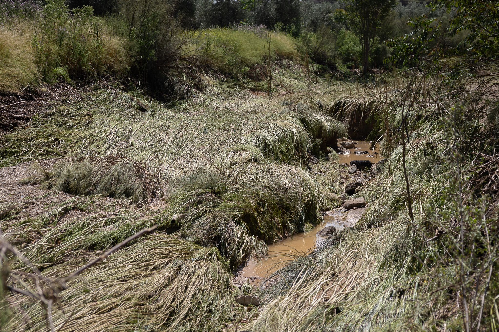 La zona cero un día después de la tormenta que colapsó la A-92