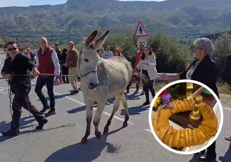 Una burra en mitad de la romería de San Marcos de Beas de Guadix.