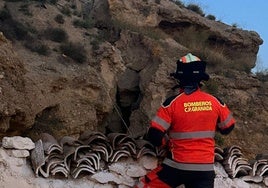 Un bombero de la Diputación examina el terreno.