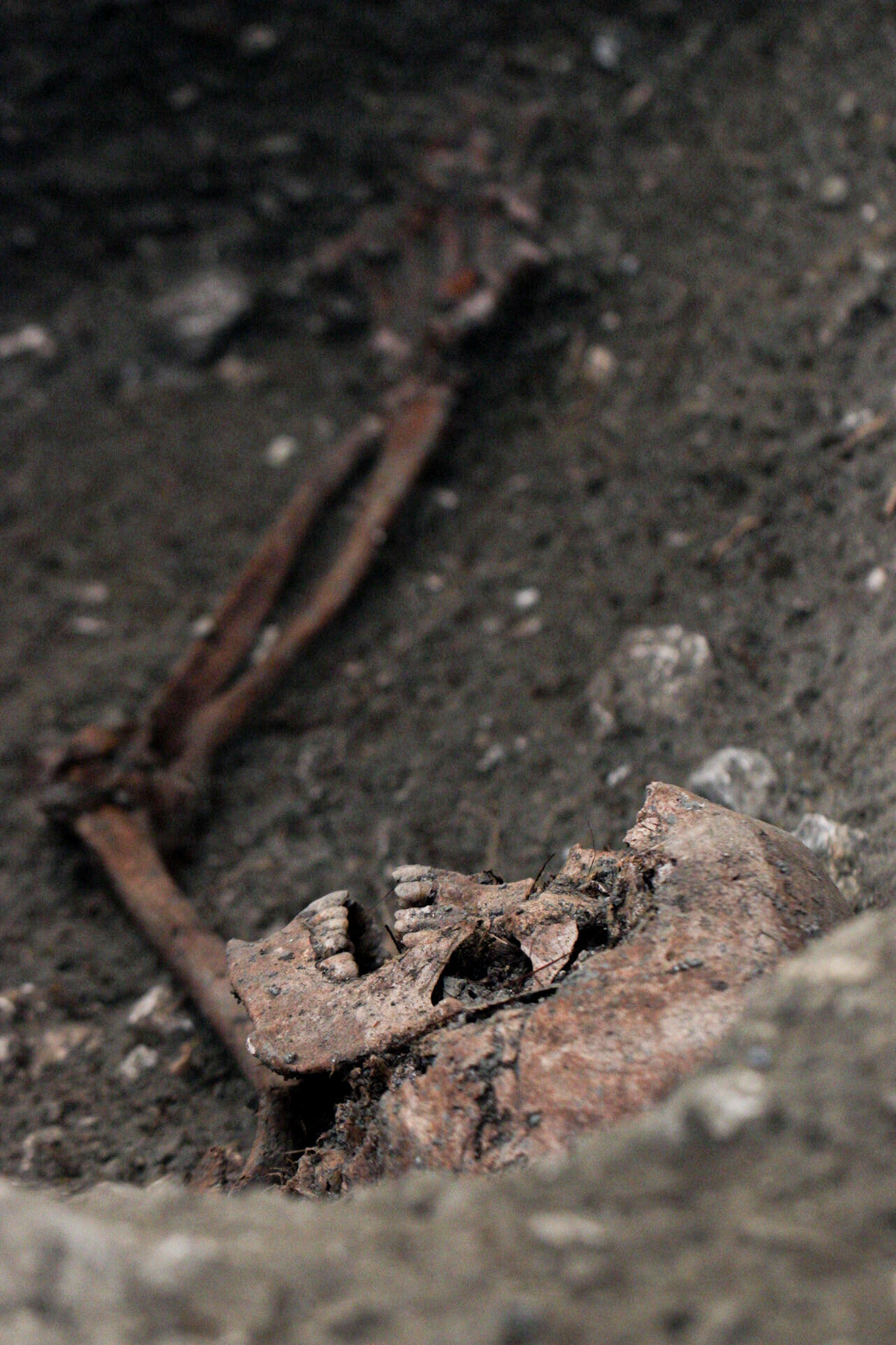 Las imágenes de los trabajos de arqueología en Víznar