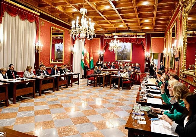 Momento de la votación de la moción sobre el soterramiento.