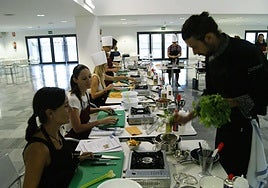 La EPA sitúa a Almería como la tercera andaluza con menor tasa de paro, pese a que solo Servicios genera empleo