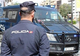 a Policía Nacional encontró 300 plantas en un piso situado en la Avenida de Dílar.