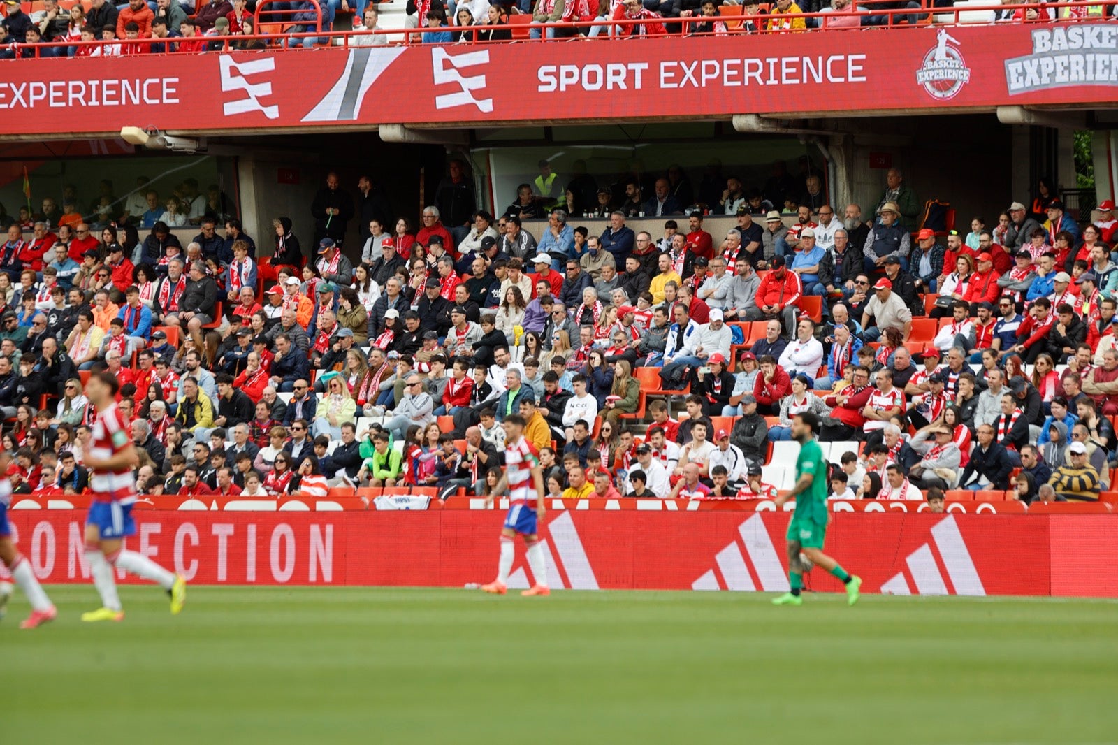 Encuéntrate en la grada en el partido entre Granada y Osasuna