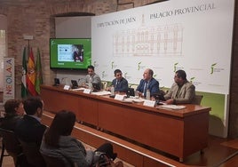 Presentación del proyecto, en Diputación.