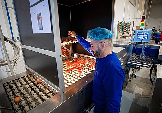 Uno de los profesionales de la planta de Agotzaina en la Citai de Escúzar.