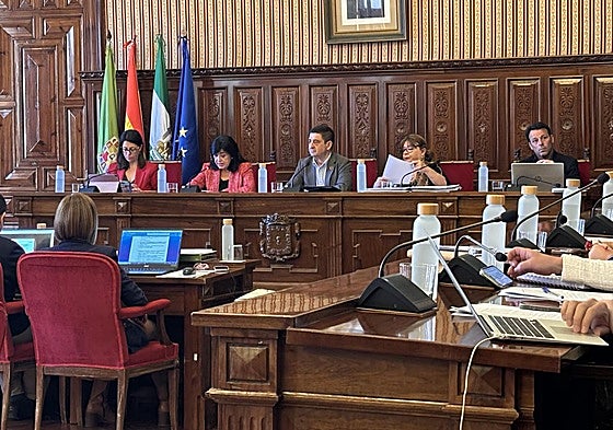 Imagen de la presidencia del pleno de Diputación.