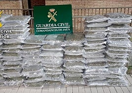 Bolsas de marihuana intervenidas.