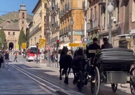 La llegada en calesa a una boda en Granada que se vuelve viral en redes.