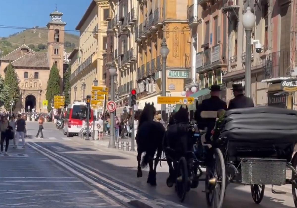 La llegada en calesa a una boda en Granada que se vuelve viral en redes.