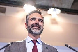 El consejero de Sostenibilidad, Medio Ambiente y Economía Azul y portavoz del Gobierno andaluz, Ramón Fernández-Pacheco.