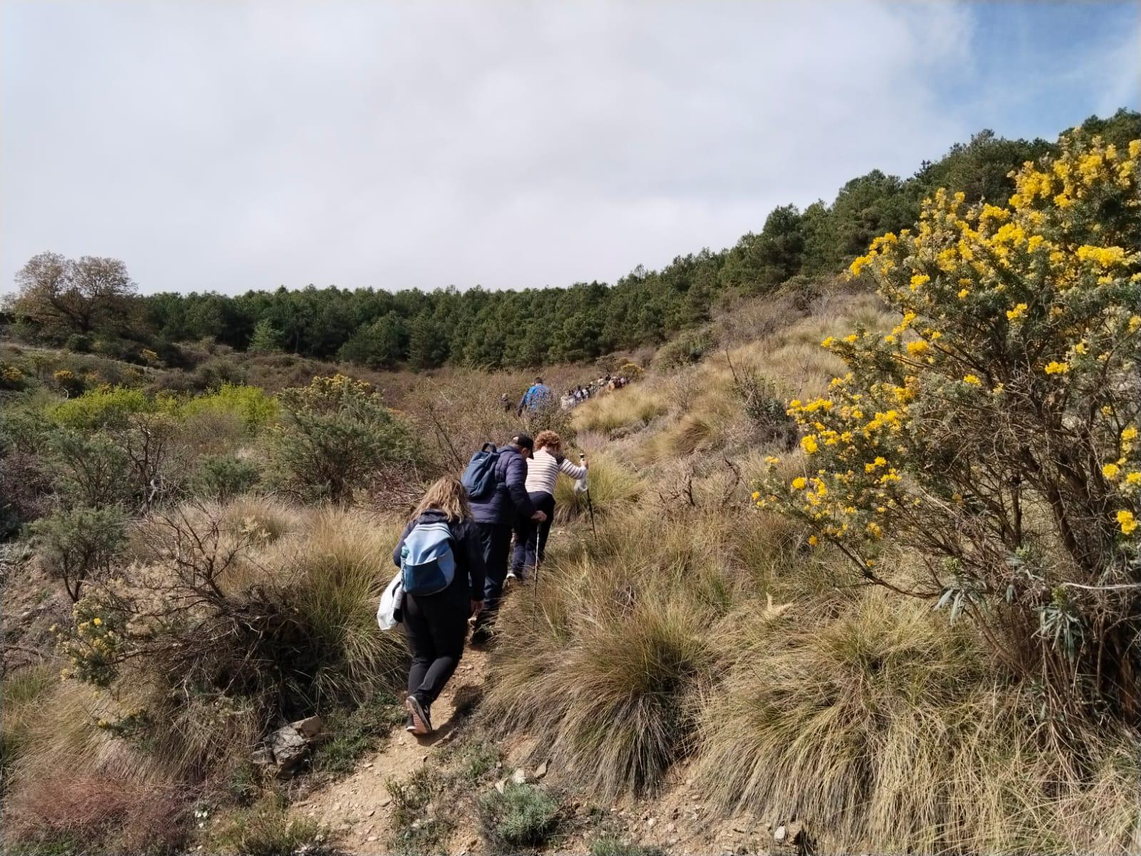 La ruta de los cerezos de Velefique, magia en Los Filabres