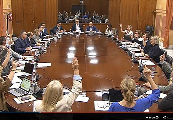 Momento de la votación del dictamen.