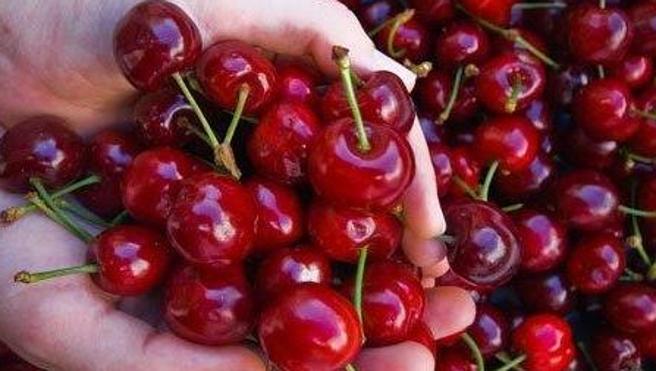 Cerezas de archivo.