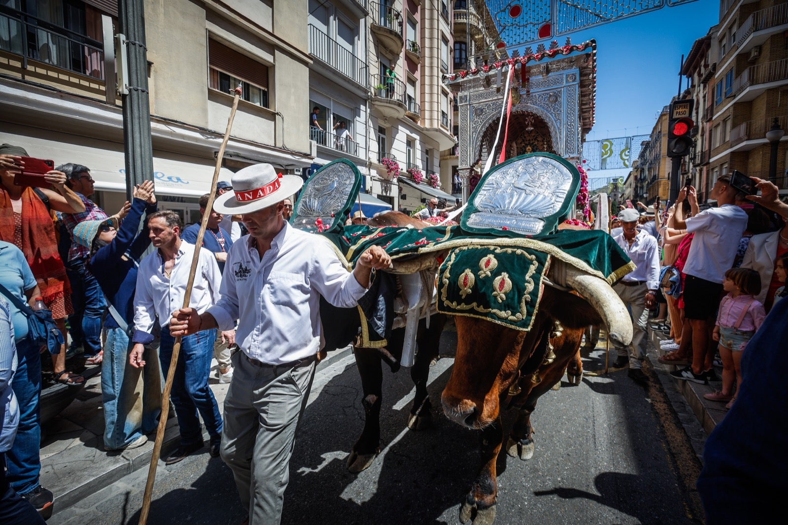 Las imágenes de la salida del Rocío en Granada