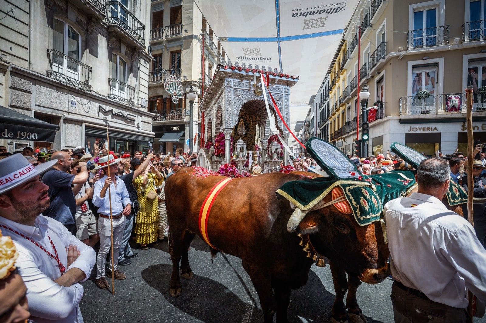 Las imágenes de la salida del Rocío en Granada