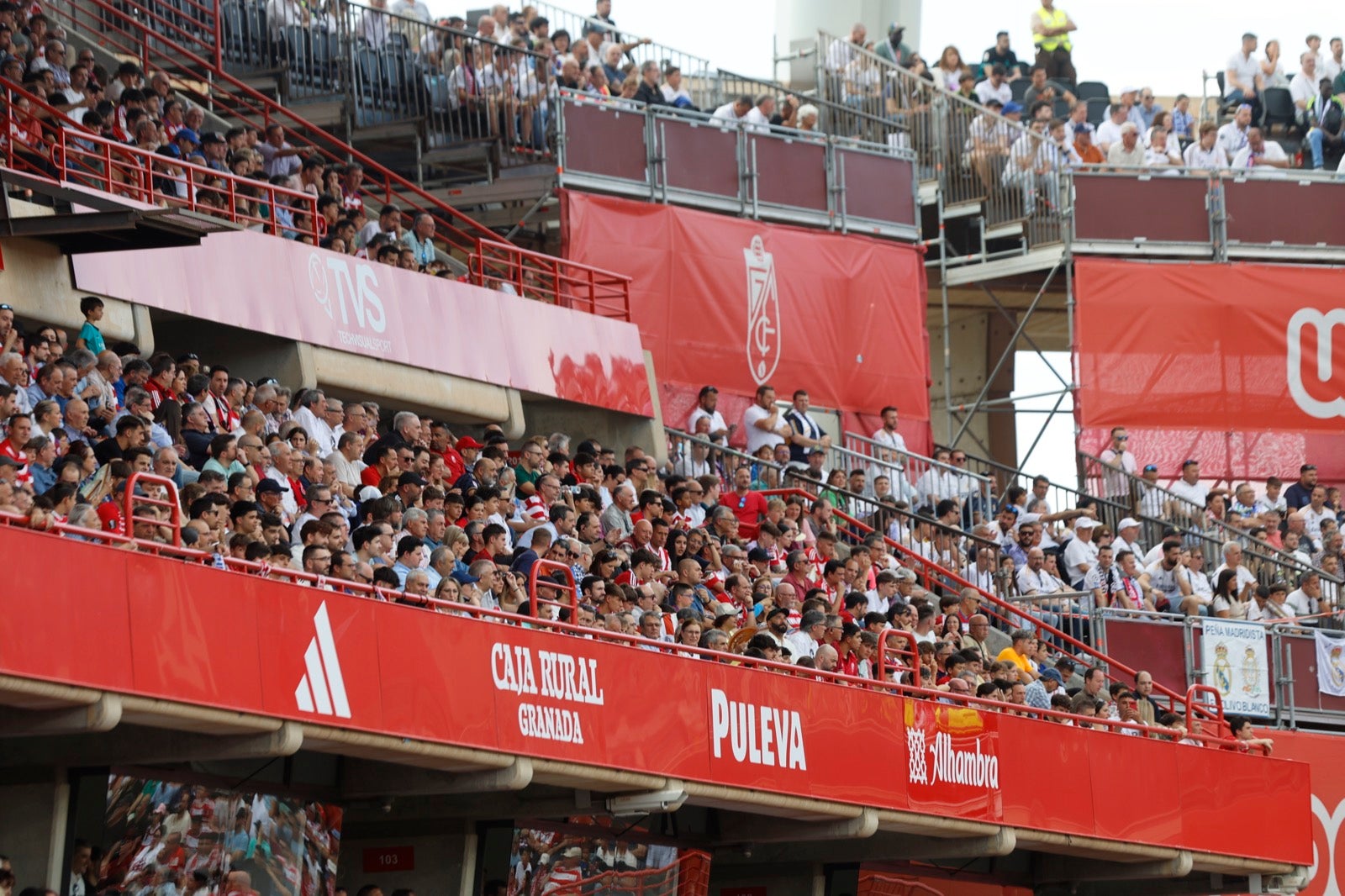 Encuéntrate en la grada en el partido entre Granada y Real Madrid