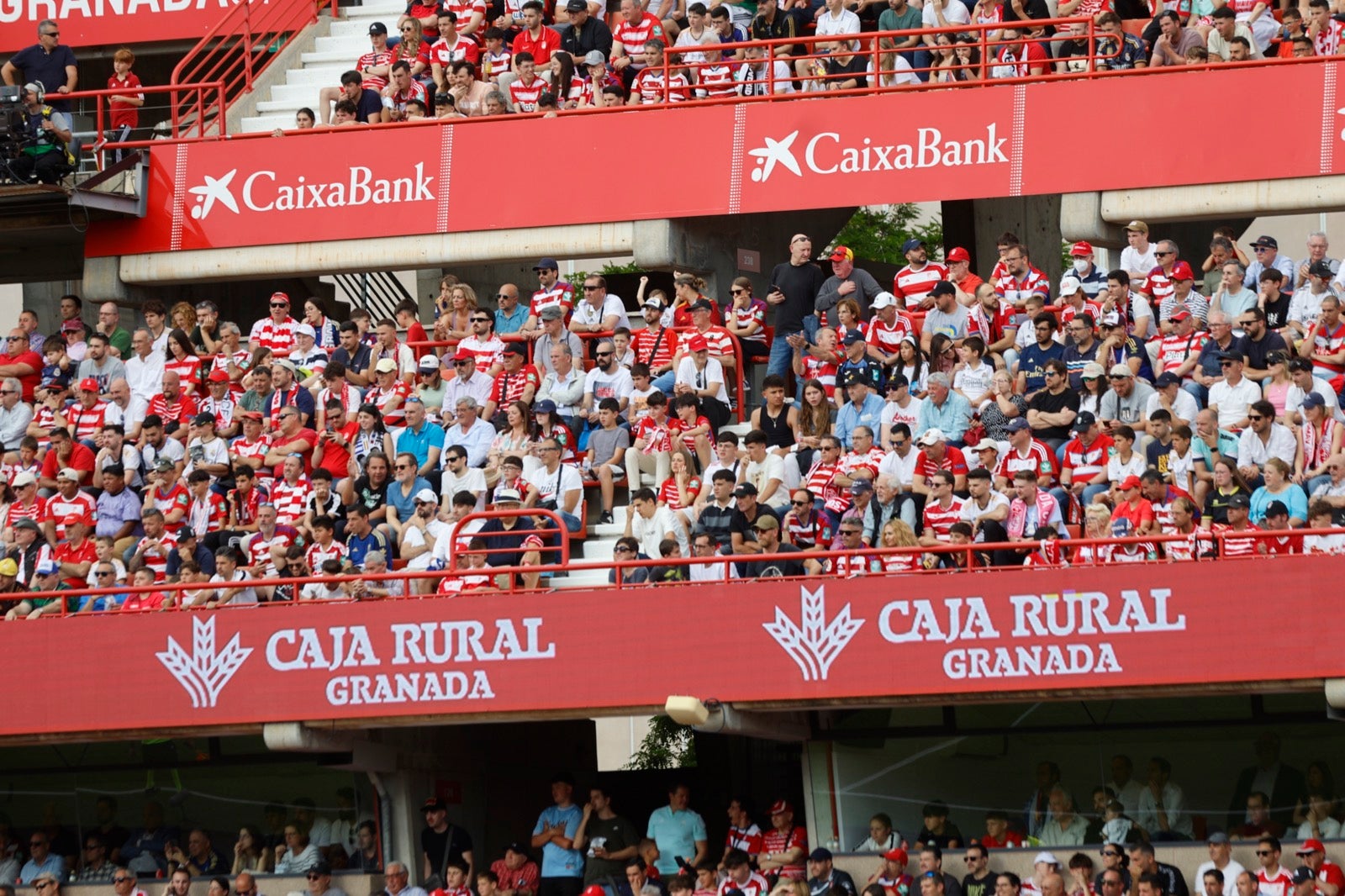 Encuéntrate en la grada en el partido entre Granada y Real Madrid