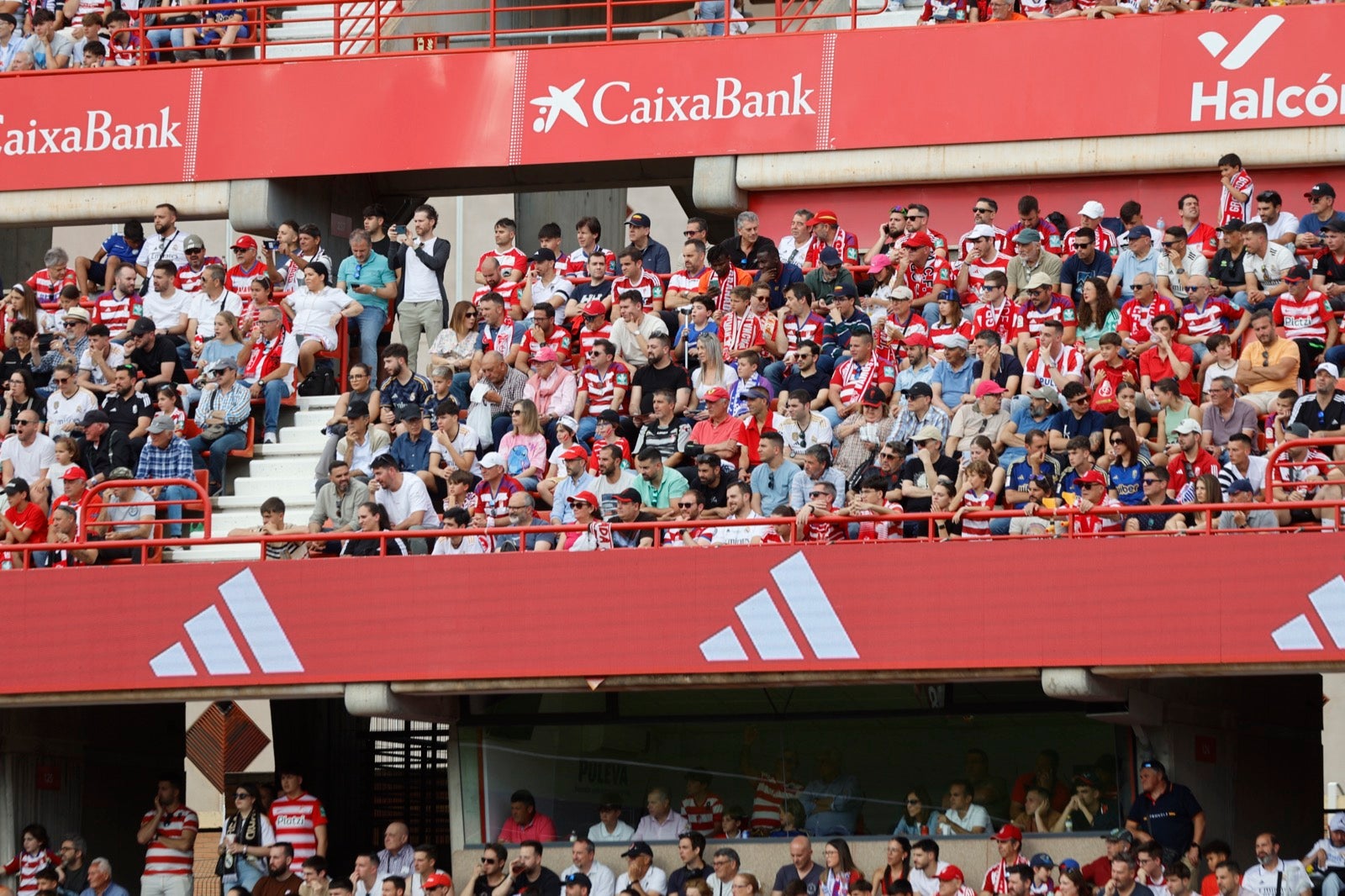 Encuéntrate en la grada en el partido entre Granada y Real Madrid
