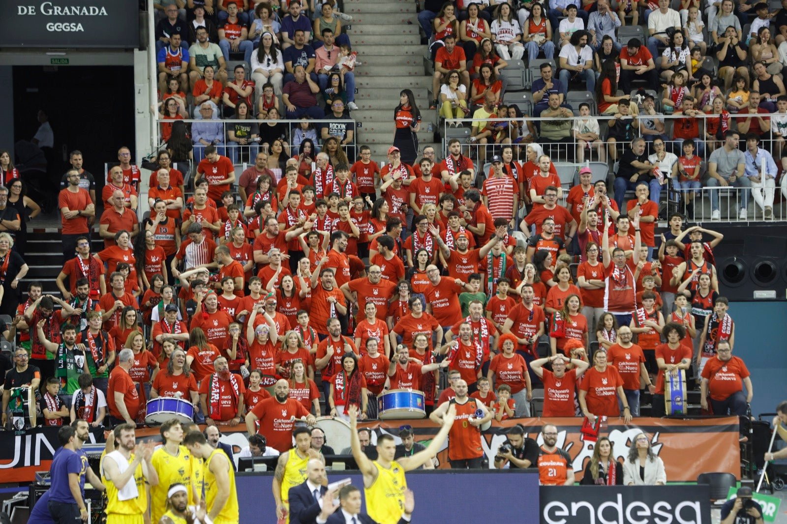 Encuéntrate en la grada durante el Covirán Granada - Gran Canaria