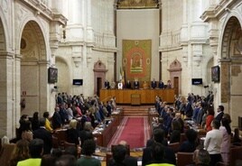El Parlamento andaluz debate sobre las dos nuevas universidades privadas y el Plan de Verano del SAS
