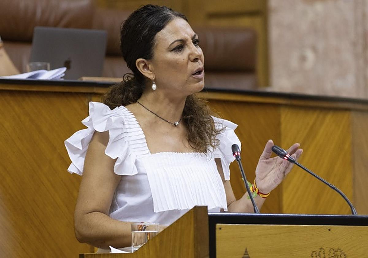 La parlamentaria de Vox y portavoz en la comisión de Inclusión Social, Juventud, Familias e Igualdad, Ana Ruiz.