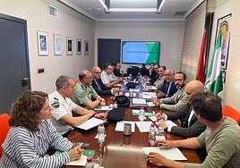 Reunión del Comité Asesor del Plan Infoca.