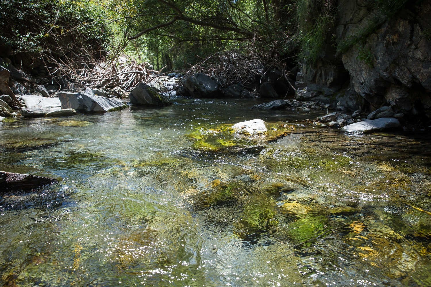 Imagen principal - Un sendero refrescante a la vera del río Genil en el pueblo granadino que parece Noruega