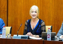 La consejera de Desarrollo Educativo y Formación Profesional, Patricia del Pozo, ayer.
