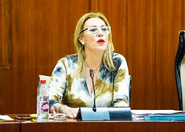 La consejera Carolina España.