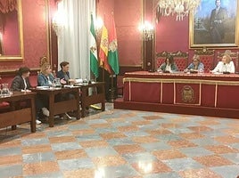 La concejal de Política Social, Familia, Discapacidad y Mayores de Granada, Amparo Arrabal, primera por la derecha, en una imagen de archivo.