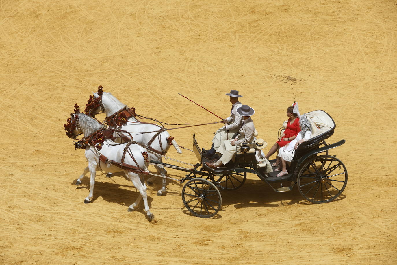 Espectaculares imágenes de los enganches en la plaza de toros de Granada