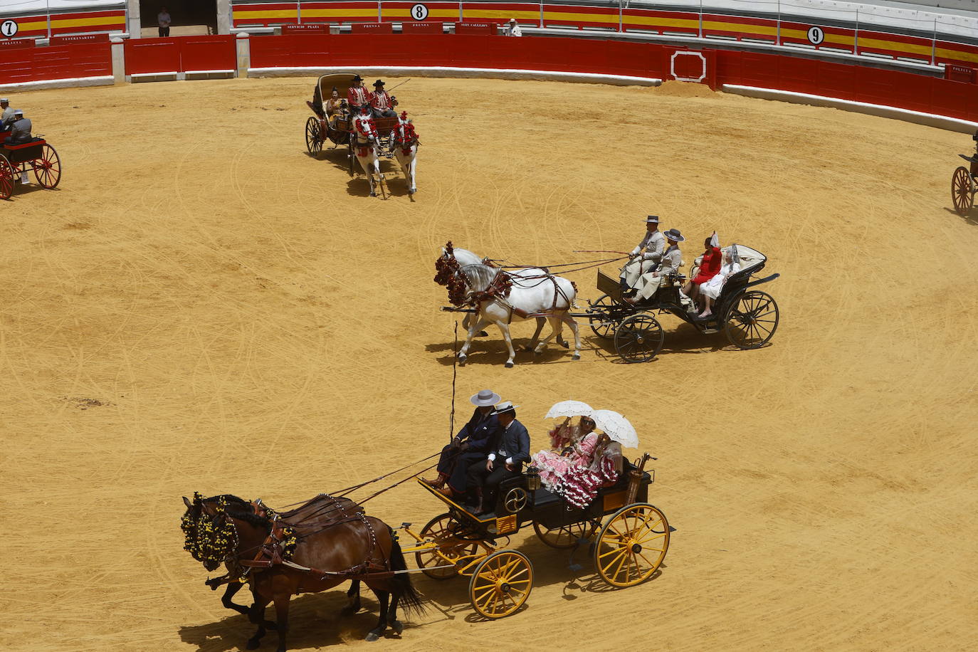 Espectaculares imágenes de los enganches en la plaza de toros de Granada