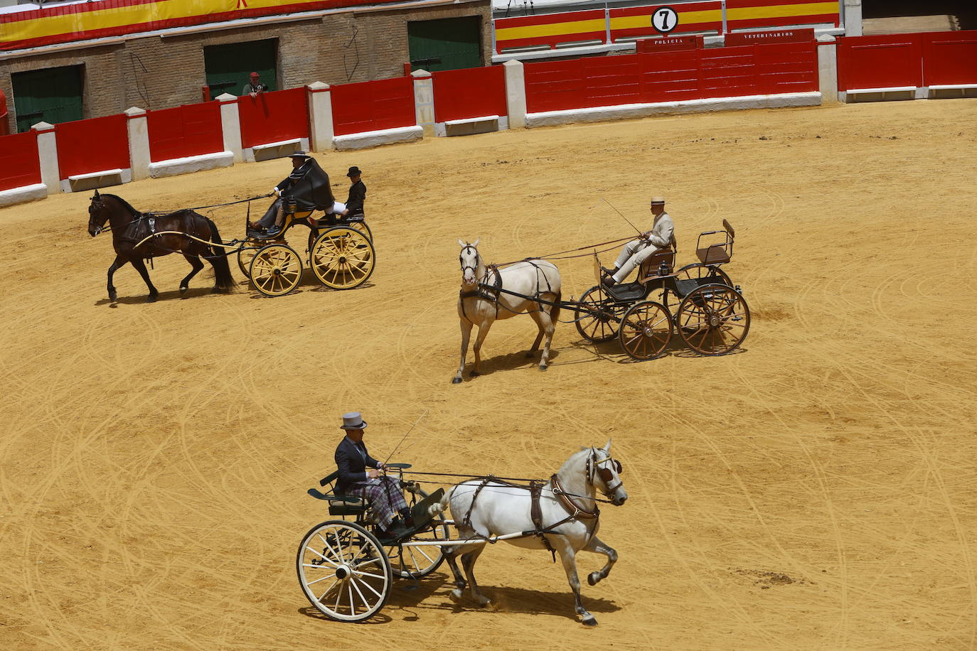 Espectaculares imágenes de los enganches en la plaza de toros de Granada