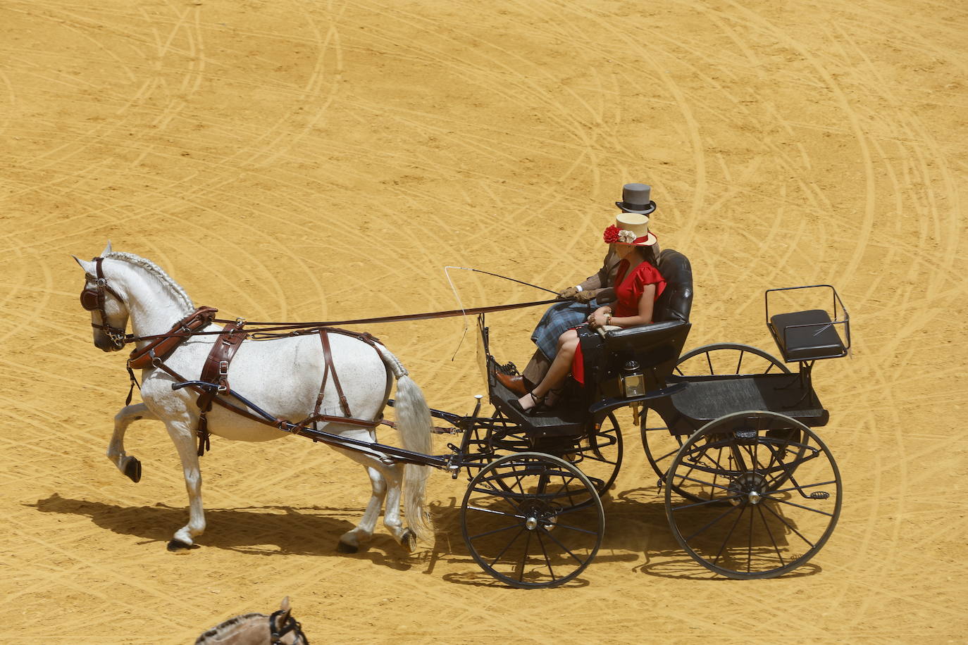 Espectaculares imágenes de los enganches en la plaza de toros de Granada