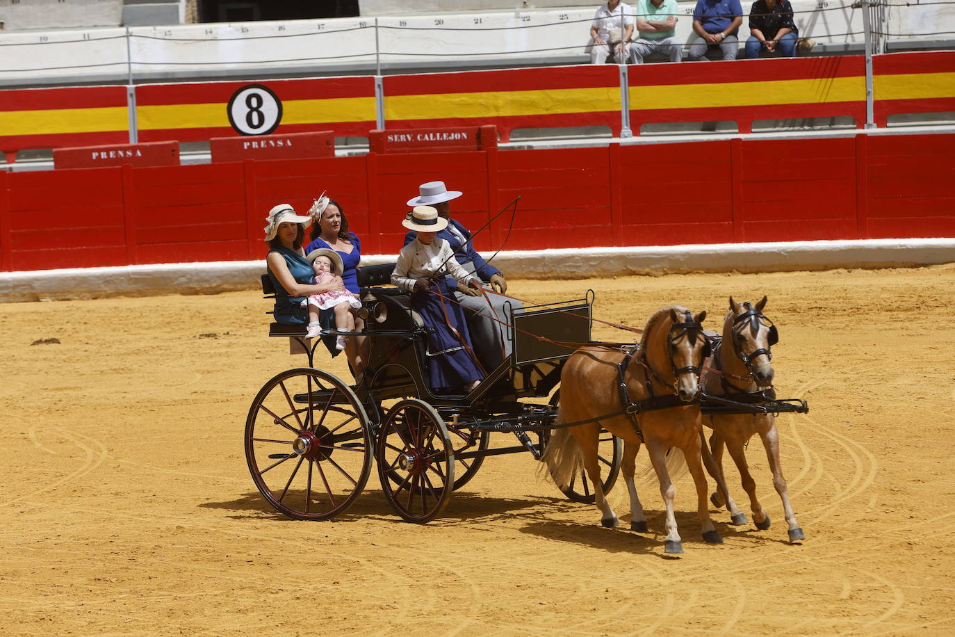 Espectaculares imágenes de los enganches en la plaza de toros de Granada