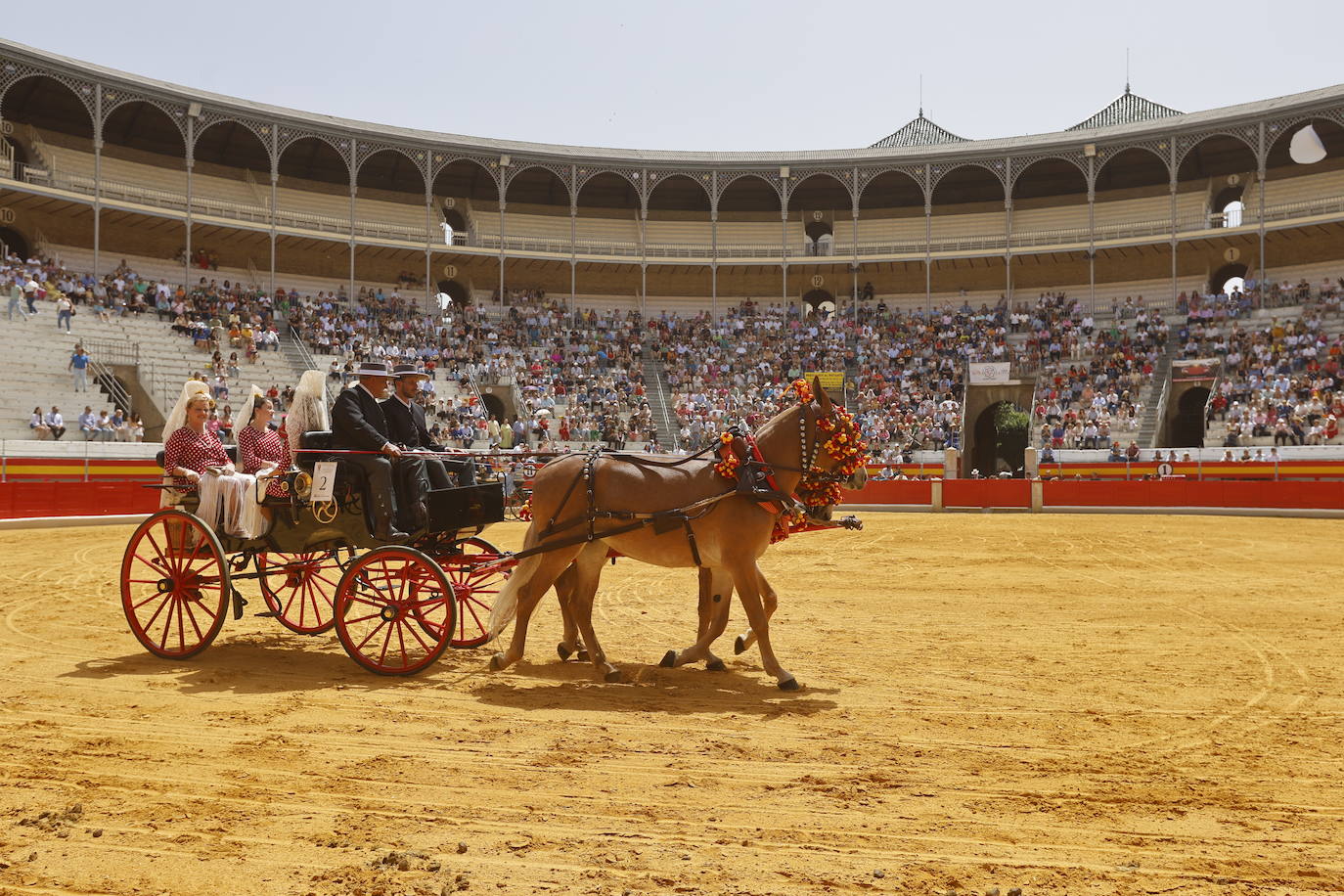 Espectaculares imágenes de los enganches en la plaza de toros de Granada