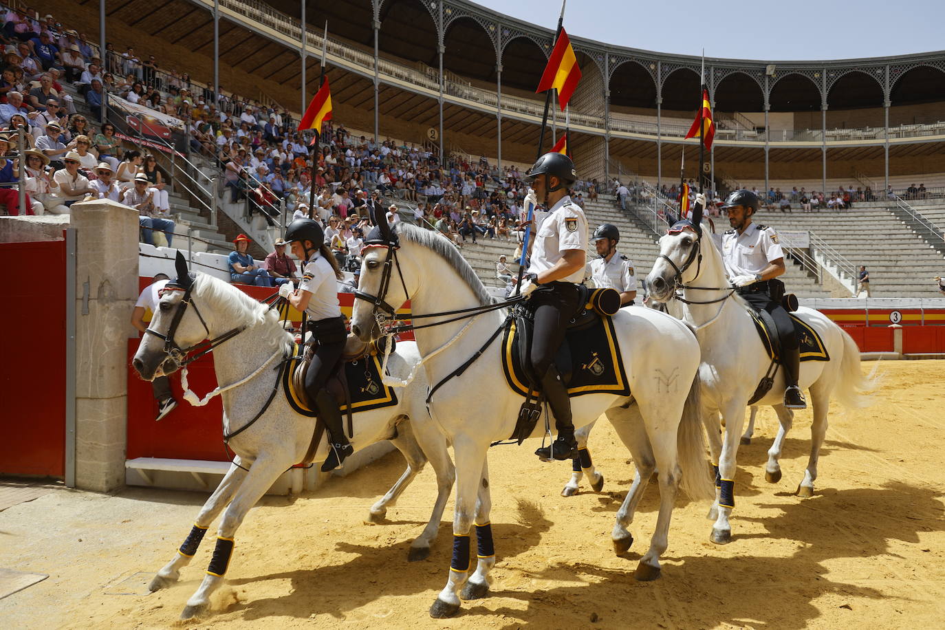 Espectaculares imágenes de los enganches en la plaza de toros de Granada