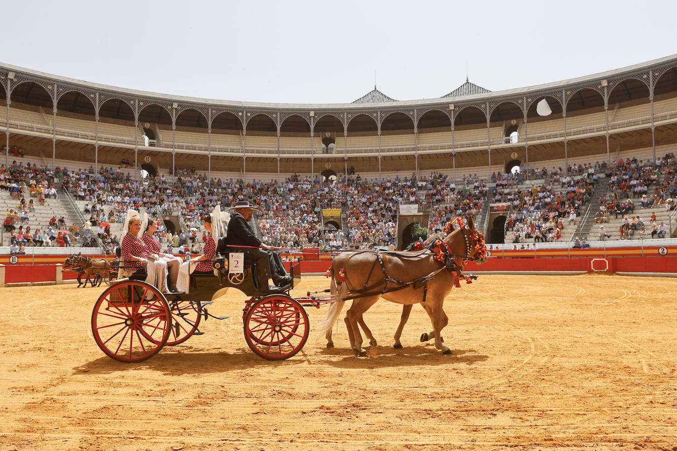 Espectaculares imágenes de los enganches en la plaza de toros de Granada