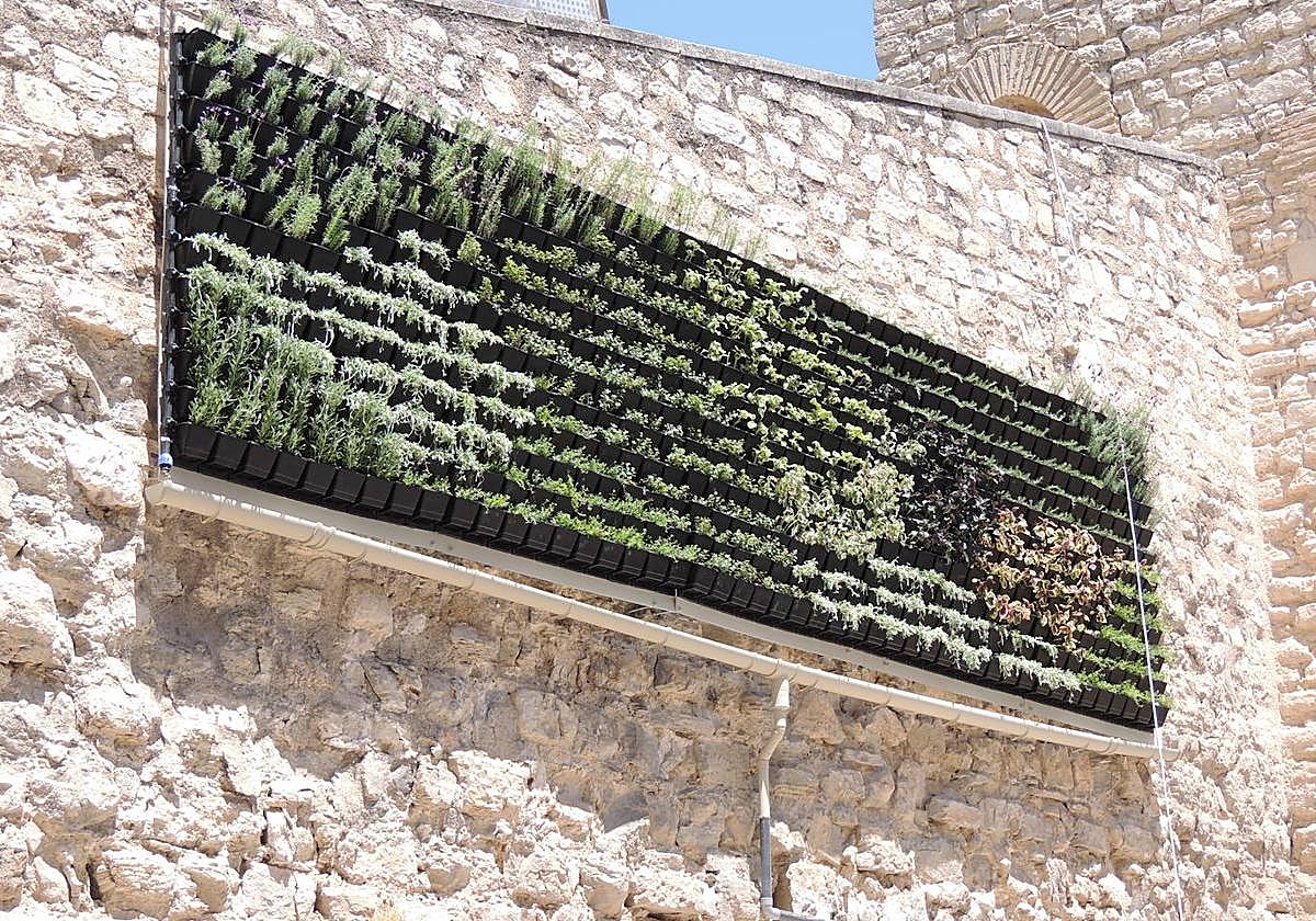 El jardín vertical se instaló sin informe de Cultura que lo avalase.