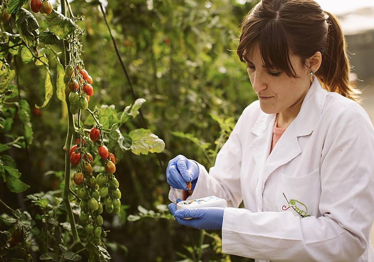 La colaboración y apuesta por la investigación está siendo «muy positiva»