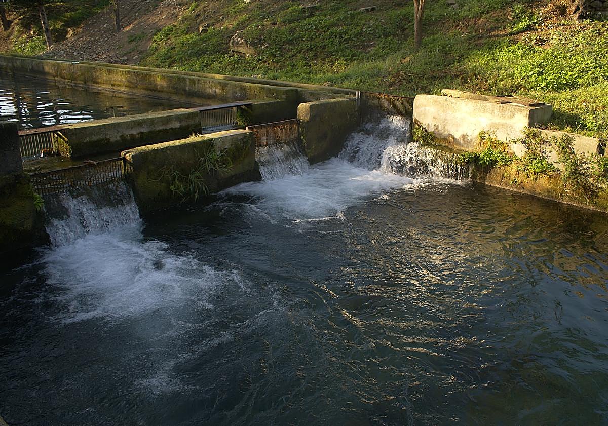Imagen principal - El extraordinario producto de Granada que encanta al chef José Andrés