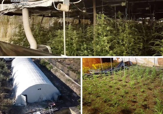 Imágenes del exterior y el interior del cultivo de marihuana hallado en Ocaña, Las Tres Villas.