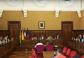 Debate en el pleno de Diputación.