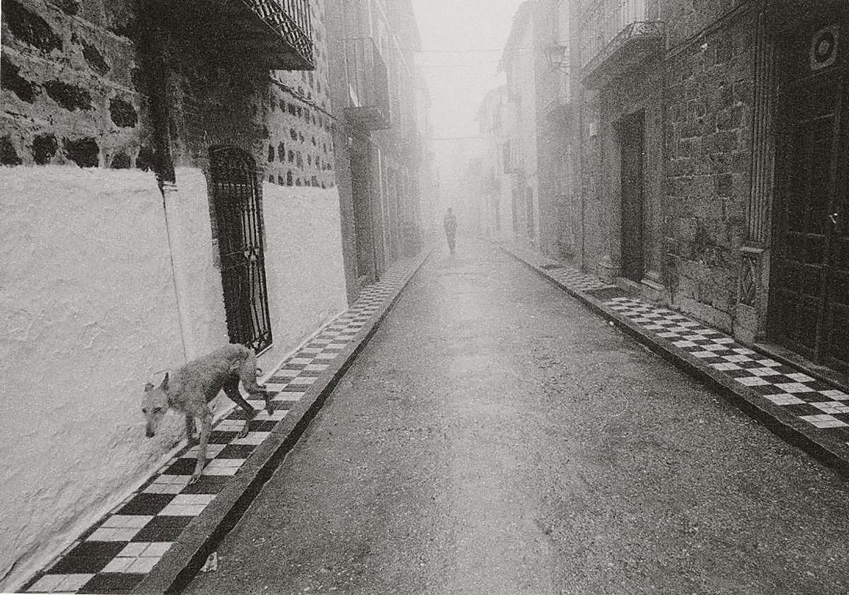 Imagen principal - La poética de Manuel Bello. 