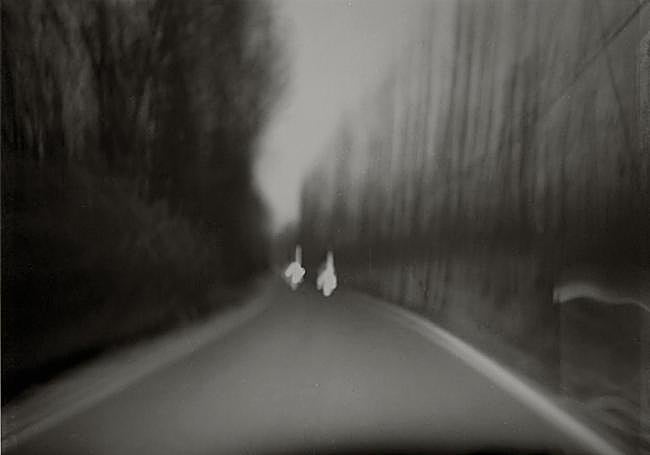 Coche con las luces encendidas en una senda de álamos.