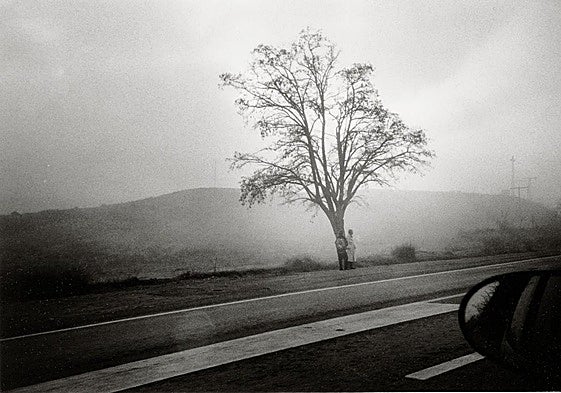 Paisaje brumoso desde un coche.