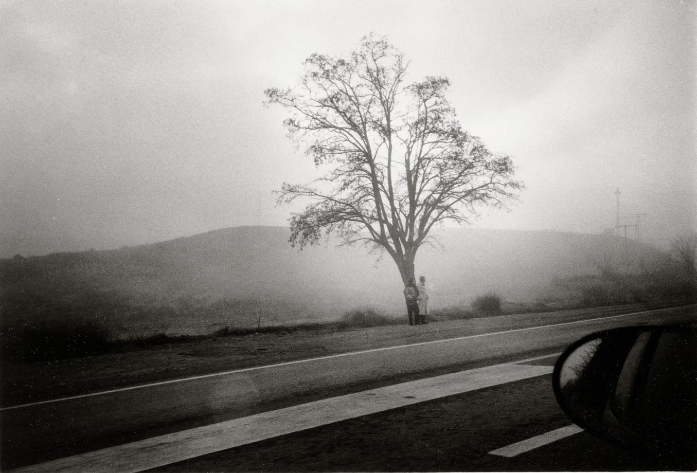 Paisaje brumoso desde un coche.