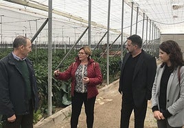 Sumar señala los Tratados de Libre Comercio y la crisis climática como los principales problemas de la agricultura